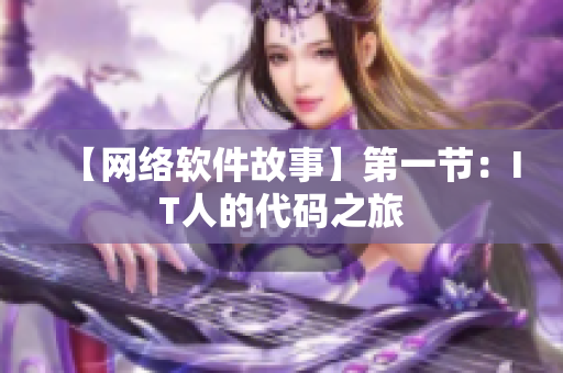 【网络软件故事】第一节：IT人的代码之旅