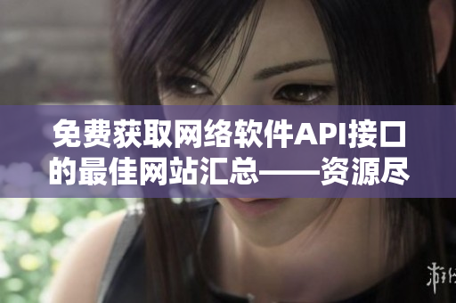 免费获取网络软件API接口的最佳网站汇总——资源尽在掌握