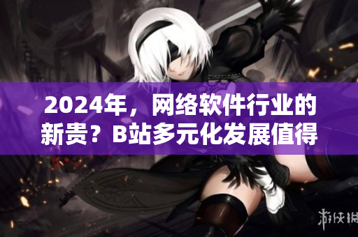 2024年，网络软件行业的新贵？B站多元化发展值得参考！