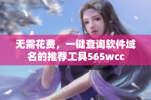 无需花费，一键查询软件域名的推荐工具565wcc