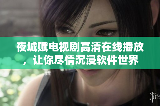 夜城赋电视剧高清在线播放，让你尽情沉浸软件世界
