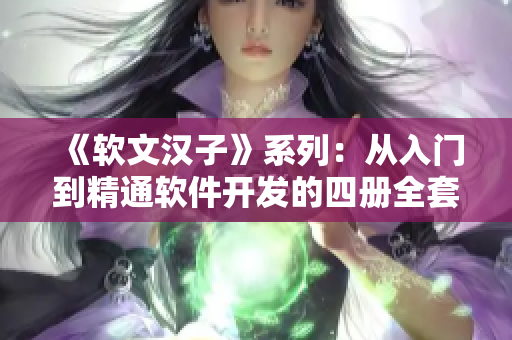 《软文汉子》系列：从入门到精通软件开发的四册全套