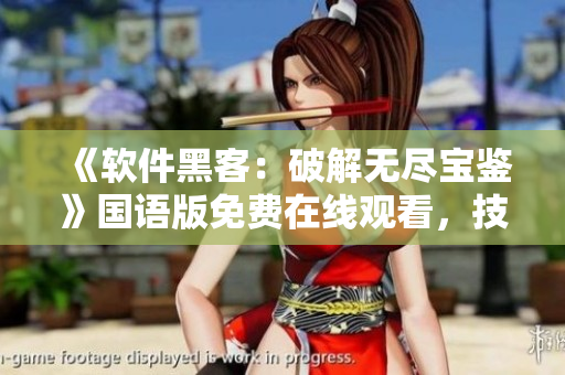 《软件黑客：破解无尽宝鉴》国语版免费在线观看，技术揭秘无法阻挡！