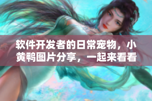 软件开发者的日常宠物，小黄鸭图片分享，一起来看看！