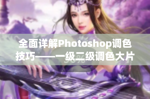 全面详解Photoshop调色技巧——一级二级调色大片视频教程