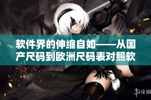 软件界的伸缩自如——从国产尺码到欧洲尺码表对照软件的探讨