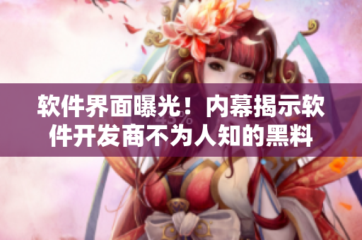 软件界面曝光！内幕揭示软件开发商不为人知的黑料