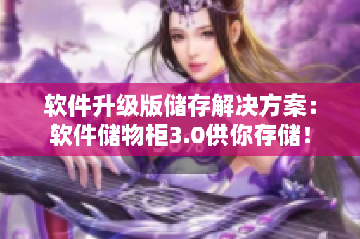 软件升级版储存解决方案：软件储物柜3.0供你存储！