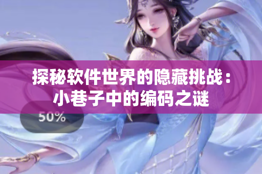 探秘软件世界的隐藏挑战：小巷子中的编码之谜
