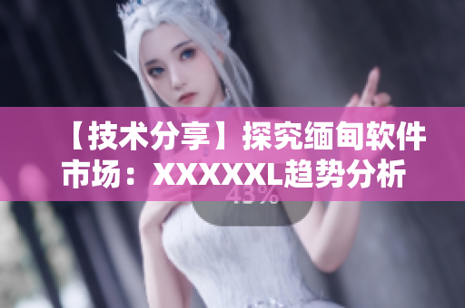 【技术分享】探究缅甸软件市场：XXXXXL趋势分析
