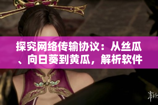 探究网络传输协议：从丝瓜、向日葵到黄瓜，解析软件保障稳定传输技术