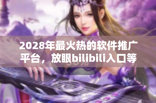 2028年最火热的软件推广平台，放眼bilibili入口等你来挑战