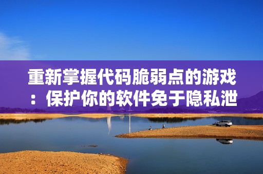 重新掌握代码脆弱点的游戏：保护你的软件免于隐私泄露！
