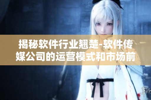 揭秘软件行业翘楚-软件传媒公司的运营模式和市场前景