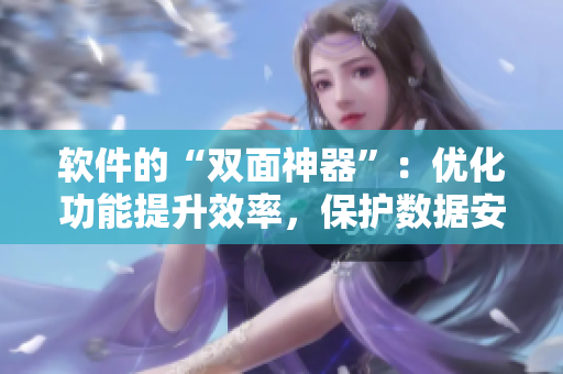 软件的“双面神器”：优化功能提升效率，保护数据安全