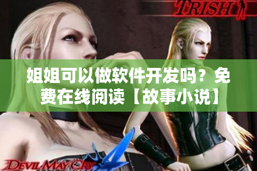 姐姐可以做软件开发吗？免费在线阅读【故事小说】