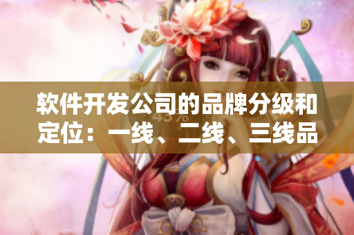 软件开发公司的品牌分级和定位：一线、二线、三线品牌差异分析