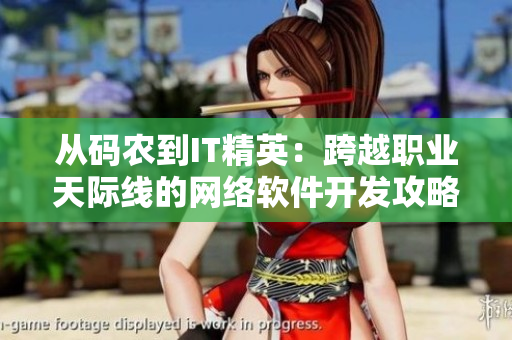 从码农到IT精英：跨越职业天际线的网络软件开发攻略