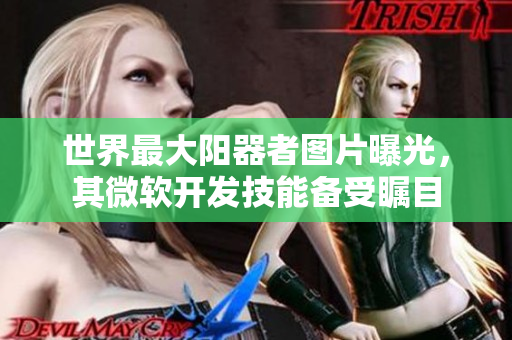 世界最大阳器者图片曝光，其微软开发技能备受瞩目