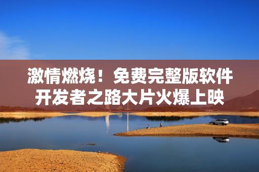激情燃烧！免费完整版软件开发者之路大片火爆上映