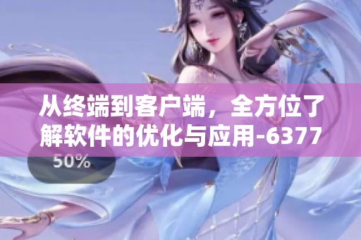 从终端到客户端，全方位了解软件的优化与应用-63777域名精准查询解析！