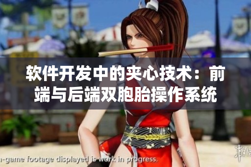 软件开发中的夹心技术：前端与后端双胞胎操作系统