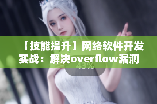 【技能提升】网络软件开发实战：解决overflow漏洞