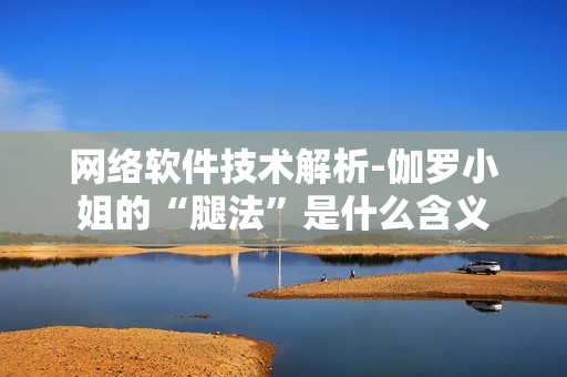 网络软件技术解析-伽罗小姐的“腿法”是什么含义