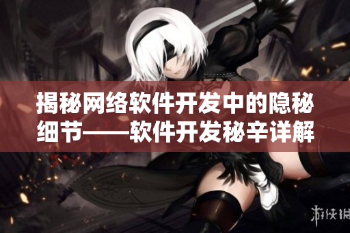 揭秘网络软件开发中的隐秘细节——软件开发秘辛详解