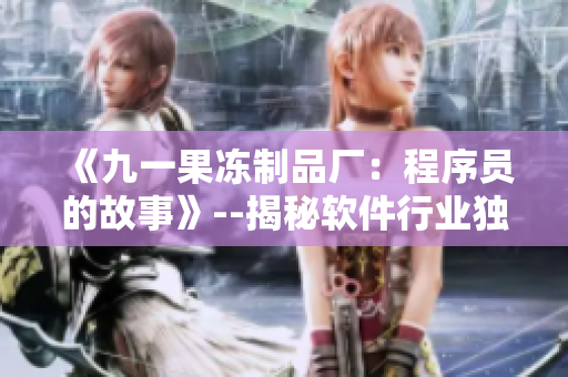 《九一果冻制品厂：程序员的故事》--揭秘软件行业独特职场文化