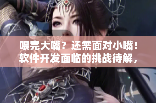 喂完大嘴？还需面对小嘴！软件开发面临的挑战待解，如何应对？