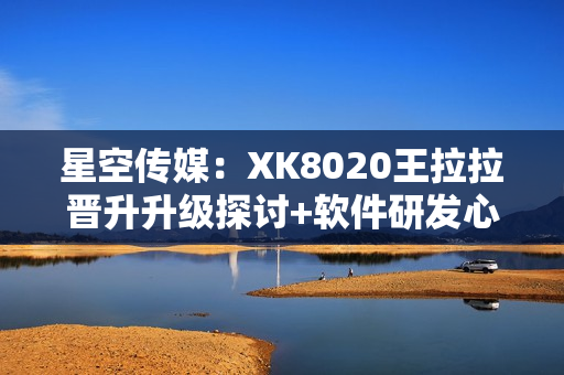 星空传媒：XK8020王拉拉晋升升级探讨+软件研发心得