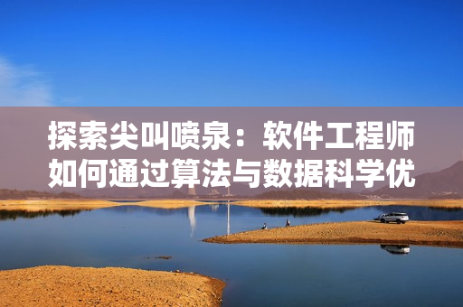探索尖叫喷泉：软件工程师如何通过算法与数据科学优化网络应用性能