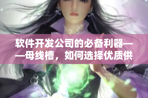 软件开发公司的必备利器——母线槽，如何选择优质供应商？