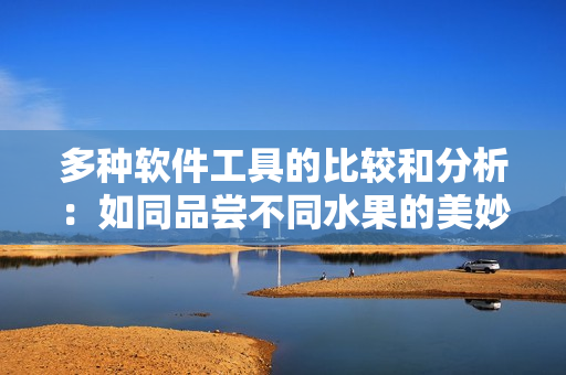 多种软件工具的比较和分析：如同品尝不同水果的美妙体验