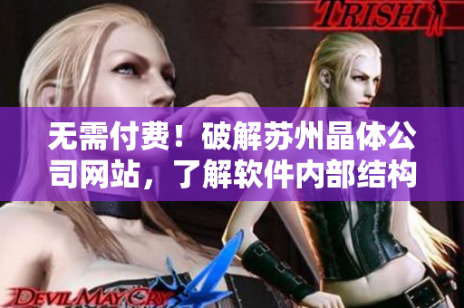 无需付费！破解苏州晶体公司网站，了解软件内部结构的诀窍
