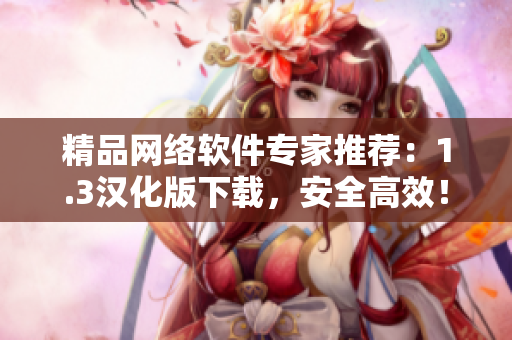 精品网络软件专家推荐：1.3汉化版下载，安全高效！