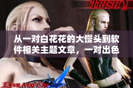 从一对白花花的大馒头到软件相关主题文章，一对出色软件的详细解读
