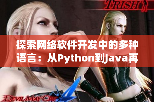 探索网络软件开发中的多种语言：从Python到Java再到C++