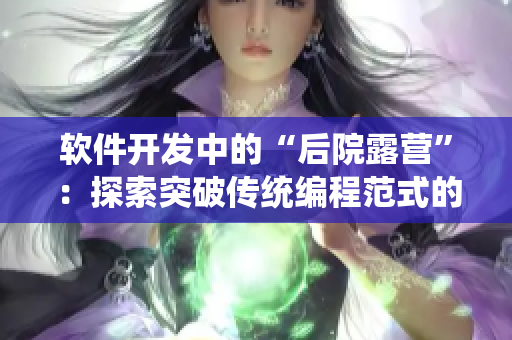 软件开发中的“后院露营”：探索突破传统编程范式的可能性