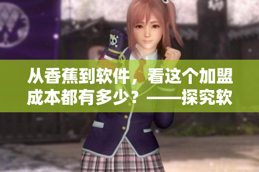 从香蕉到软件，看这个加盟成本都有多少？——探究软件开发加盟费用