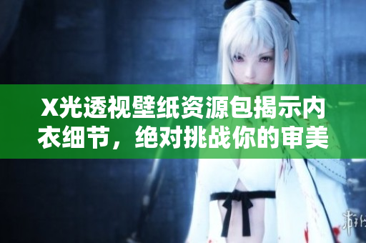 X光透视壁纸资源包揭示内衣细节，绝对挑战你的审美观！