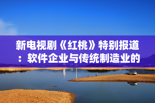 新电视剧《红桃》特别报道：软件企业与传统制造业的完美融合！