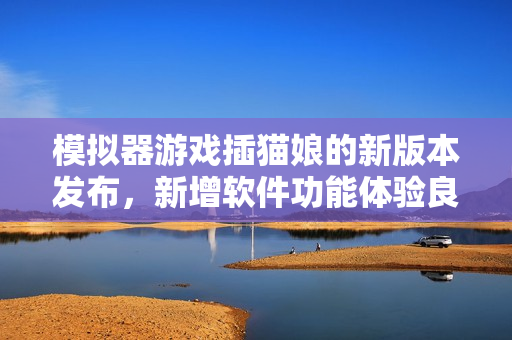 模拟器游戏插猫娘的新版本发布，新增软件功能体验良好