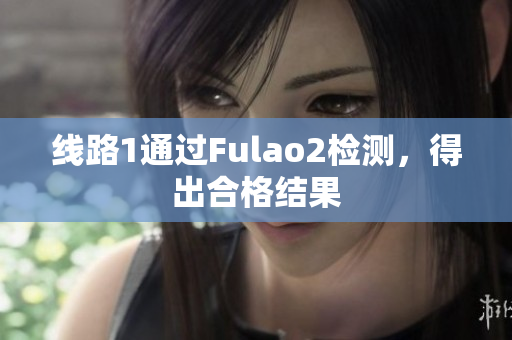 线路1通过Fulao2检测，得出合格结果