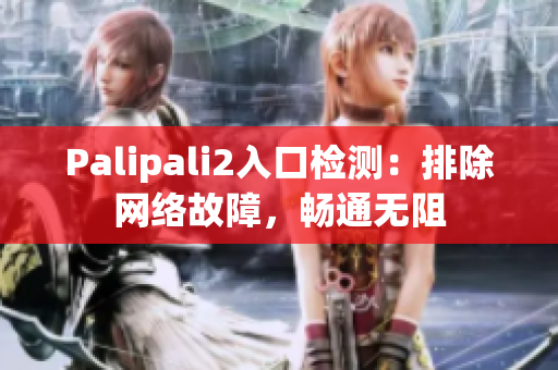 Palipali2入口检测：排除网络故障，畅通无阻
