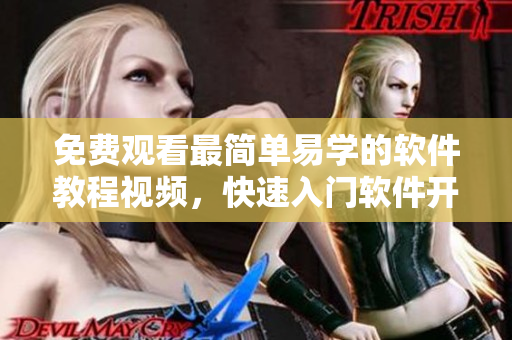 免费观看最简单易学的软件教程视频，快速入门软件开发技能！