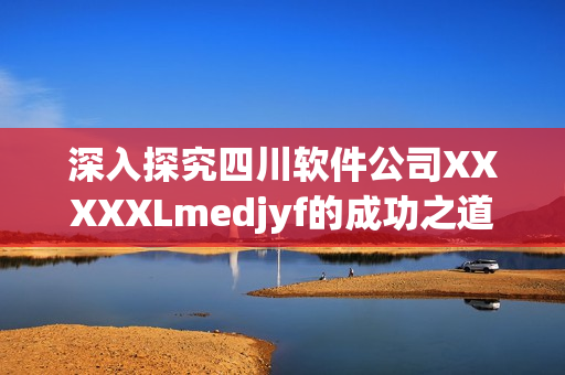 深入探究四川软件公司XXXXXLmedjyf的成功之道