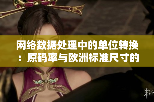 网络数据处理中的单位转换：原码率与欧洲标准尺寸的对比