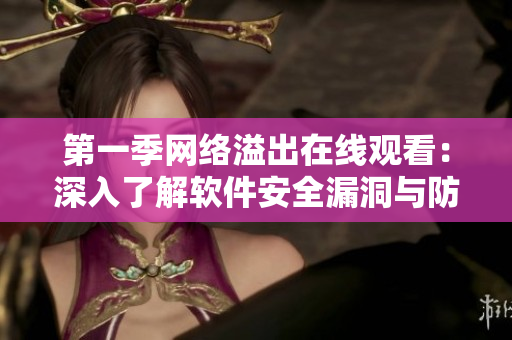 第一季网络溢出在线观看：深入了解软件安全漏洞与防范方法